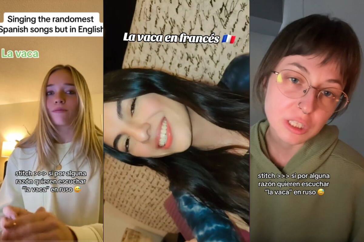VIDEO: Influencers traducen La Vaca de Mala Fe y se hacen virales en TikTok