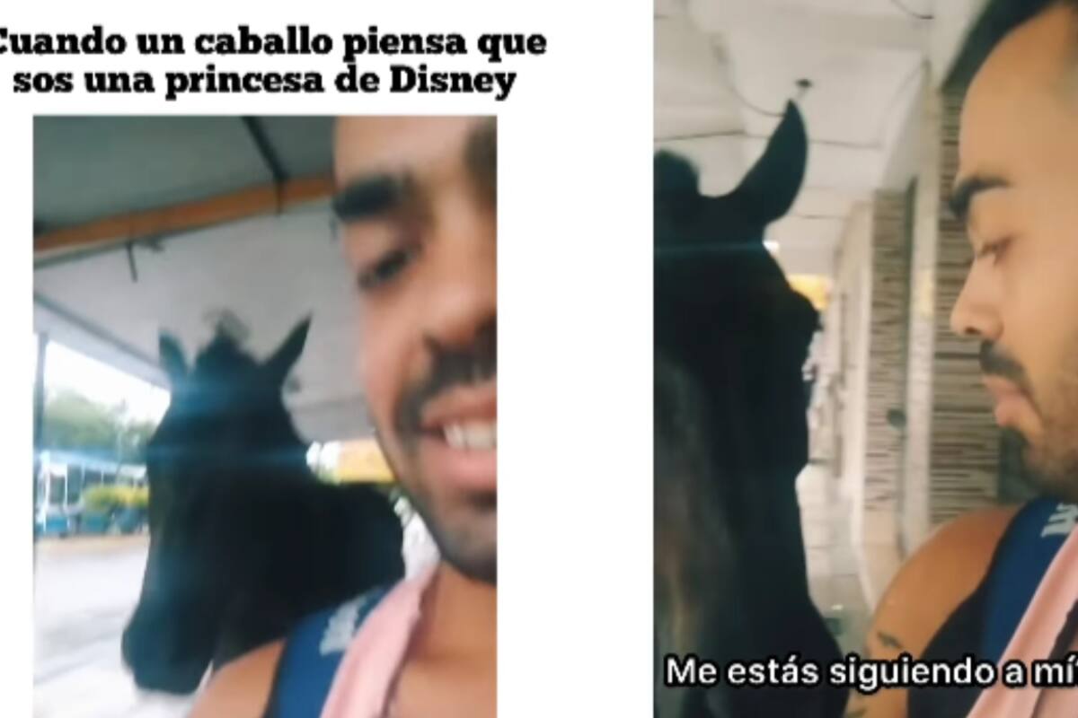 “Estas cosas me pasan a mí nada más”: Hombre es seguido por un caballo y se vuelve viral