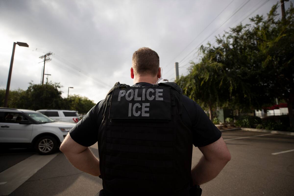 En esta imagen de archivo, tomada el 8 de julio de 2019, un agente de la agencia migratoria de Estados Unidos, ICE, durante una operación en Escondido, California. (AP Foto/Gregory Bull, archivo)