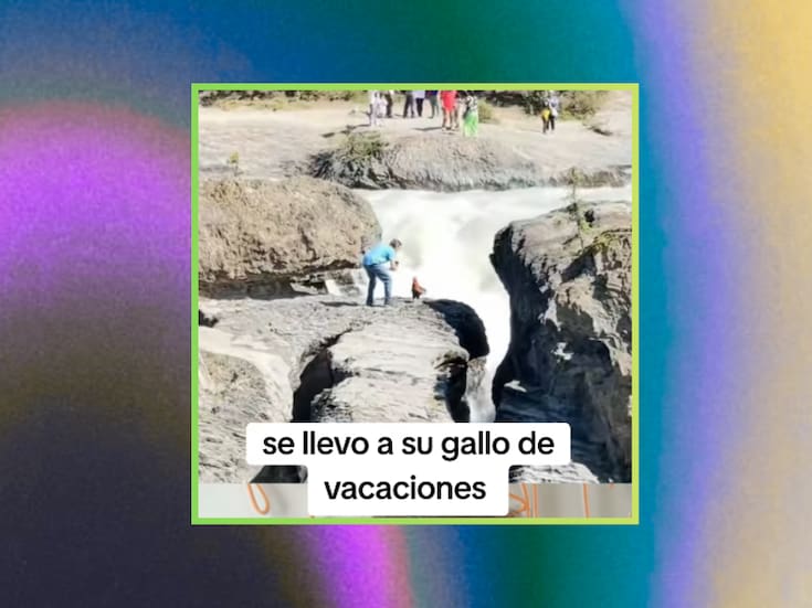“Ese gallo tiene mejores vacaciones que yo”: hombre lleva a su gallo de viaje y lo fotografía frente a una cascada