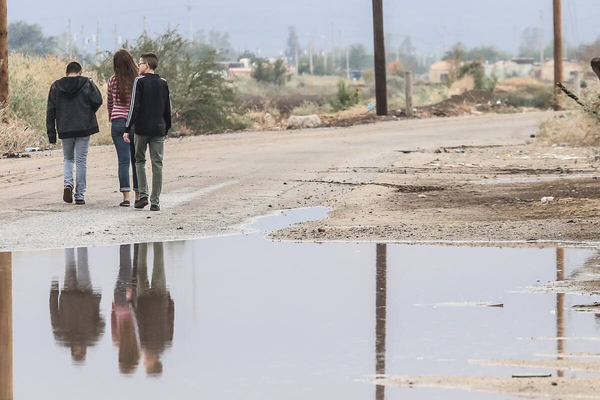 Rehabilitarán caminos rurales para tránsito de productos