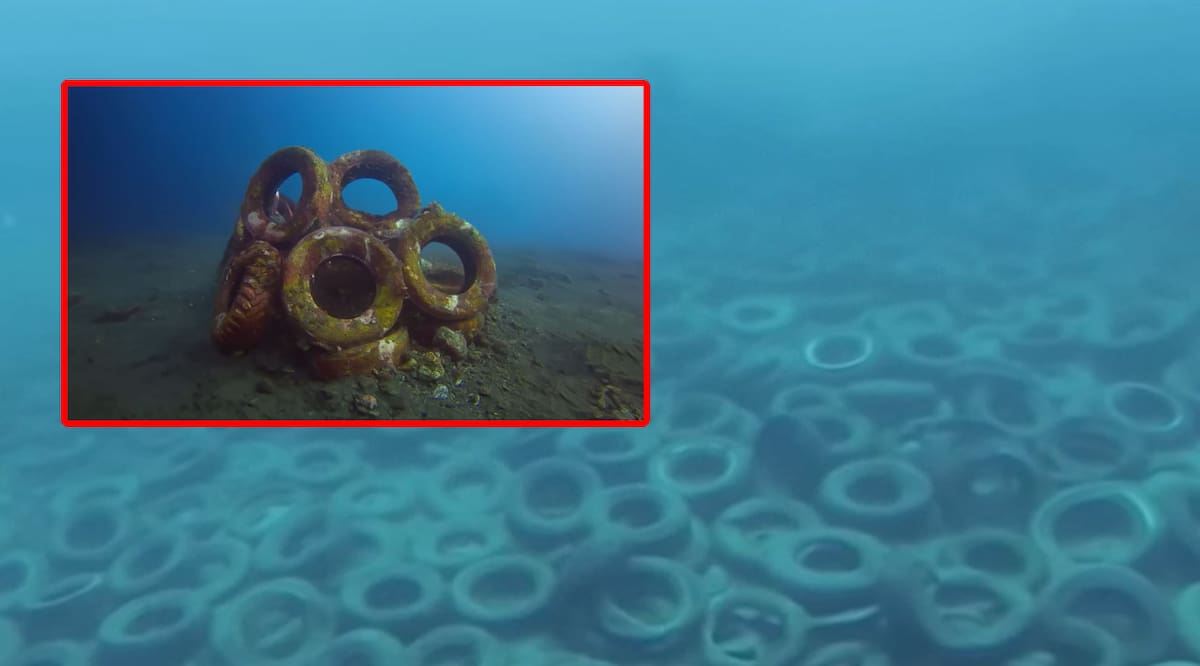 El proyecto buscaba crear un arrecife artificial con casi dos millones de neumáticos frente a la costa de Florida.