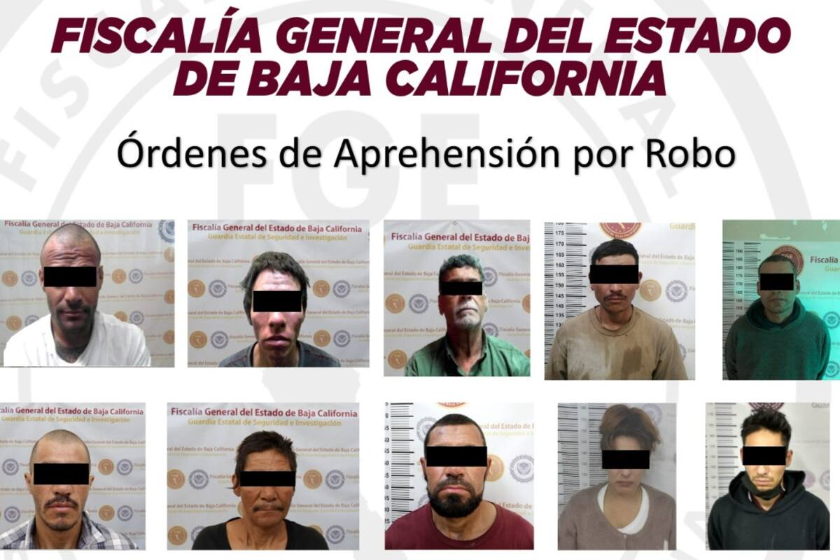Aseguran a 10 por delitos de robo y allanamiento
