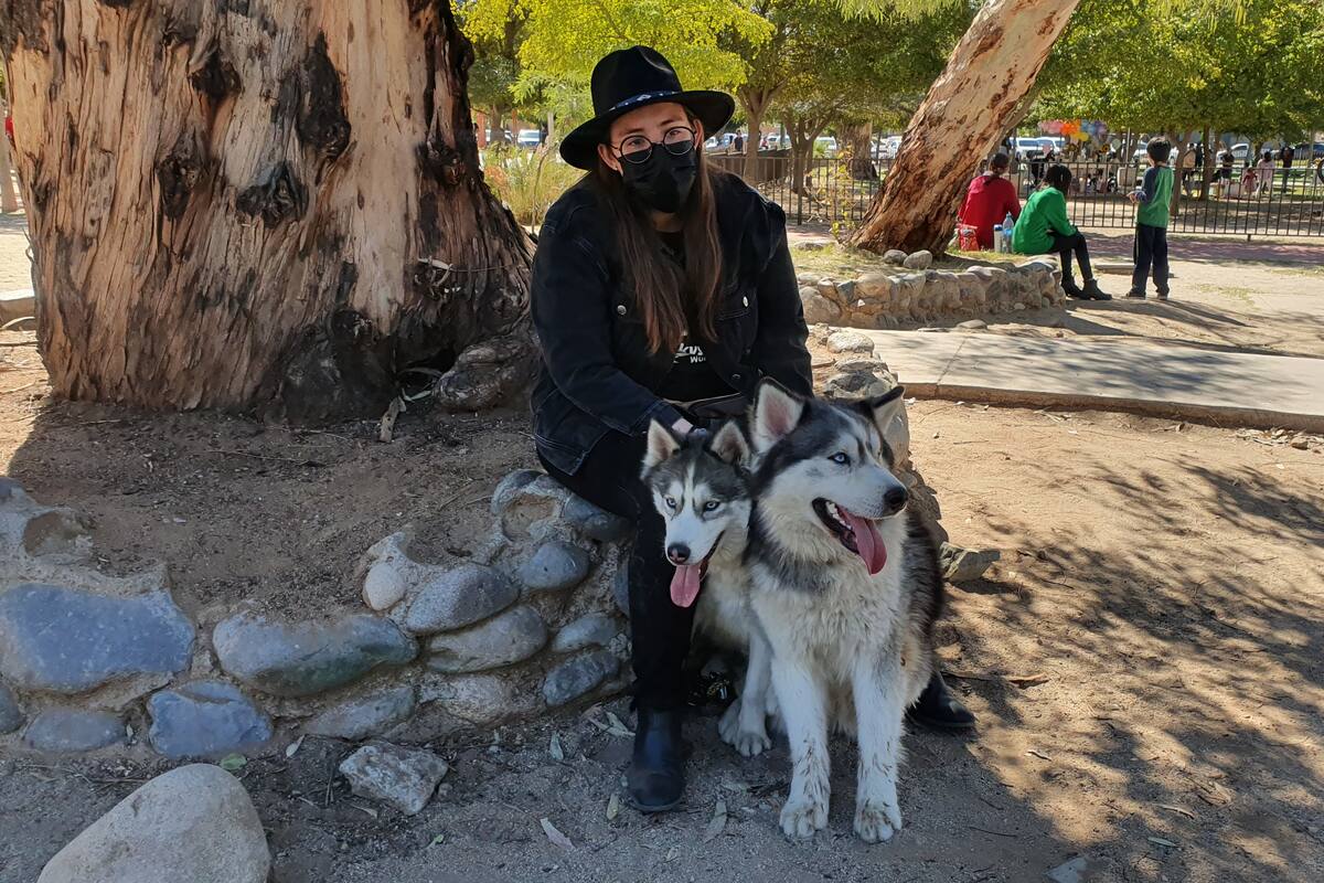 Difunde amor por los Husky y triunfa en Facebook