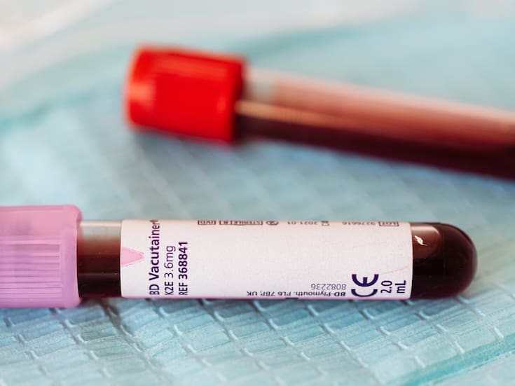 Científicos suizos crean la primera médula ósea humana en miniatura capaz de producir sangre