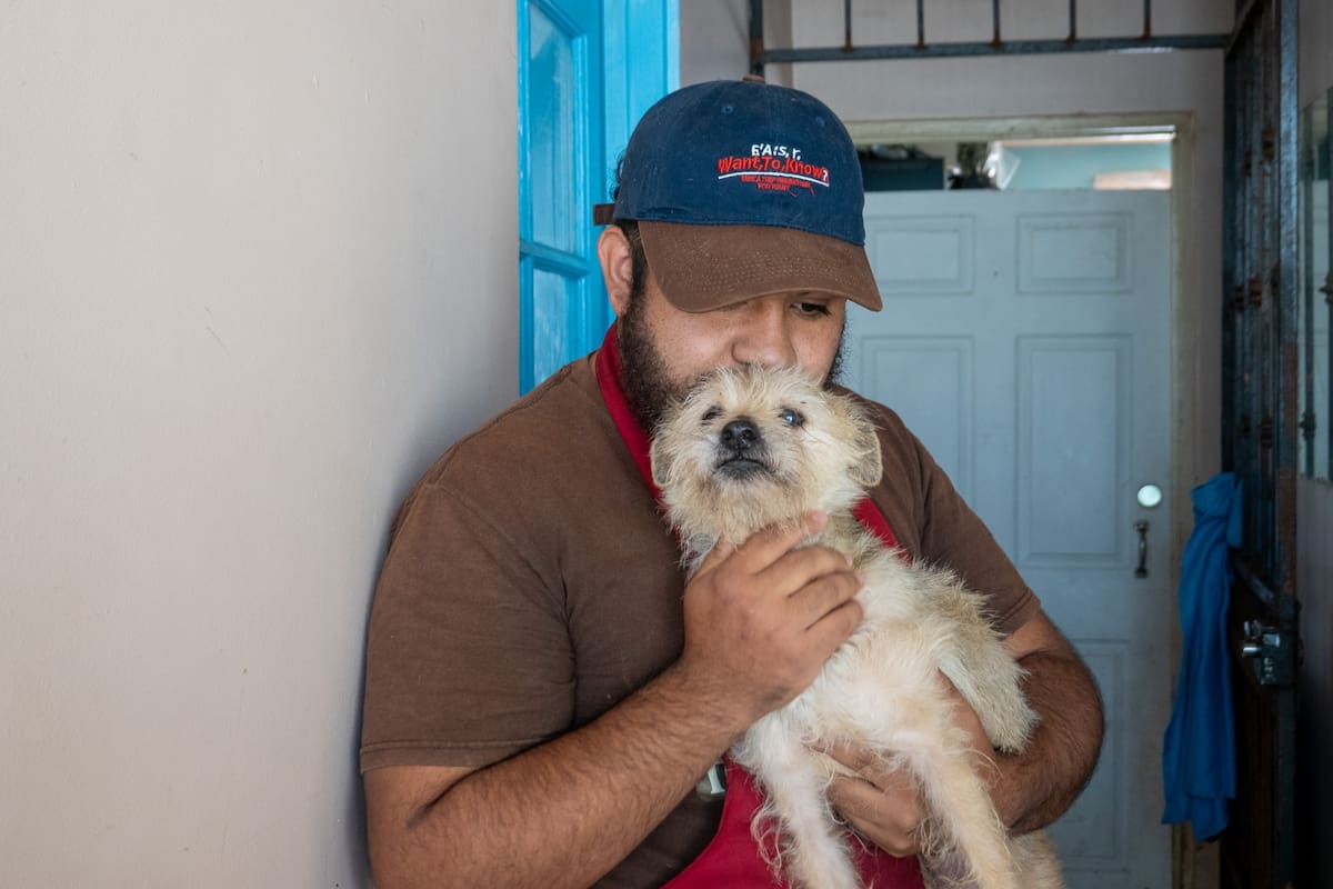 Con 62 perritos en resguardo, refugio For Happy Tails solicita apoyo de la comunidad