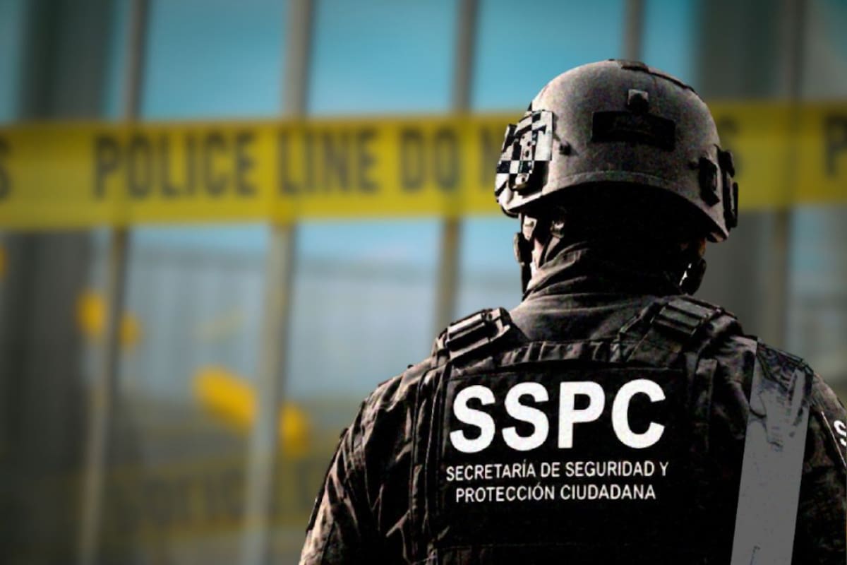 Dos elementos de la SSPC perdieron la vida en un ataque de la delincuencia organizada en Omealca, Veracruz, y las fuerzas federales ya realizan un operativo para detener a los agresores