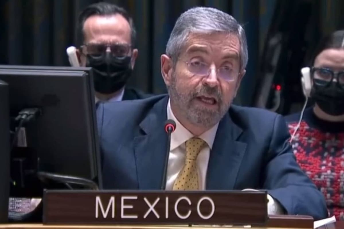 México asistirá como observador a la Cumbre de los BRICS en Río de Janeiro: Sheinbuam