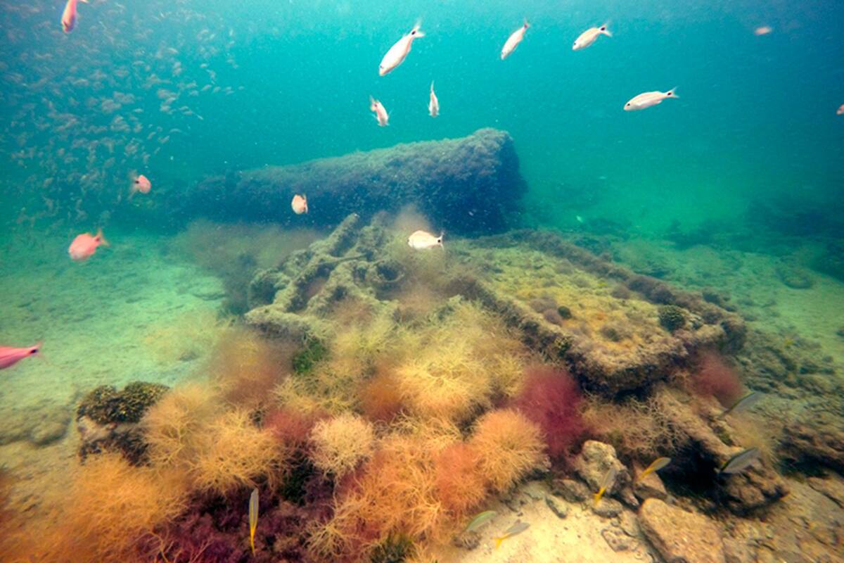Barco encontrado en Yucatán transportaba esclavos mayas