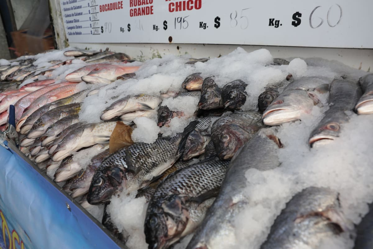 Aumentan hasta 25% precios en pescaderías