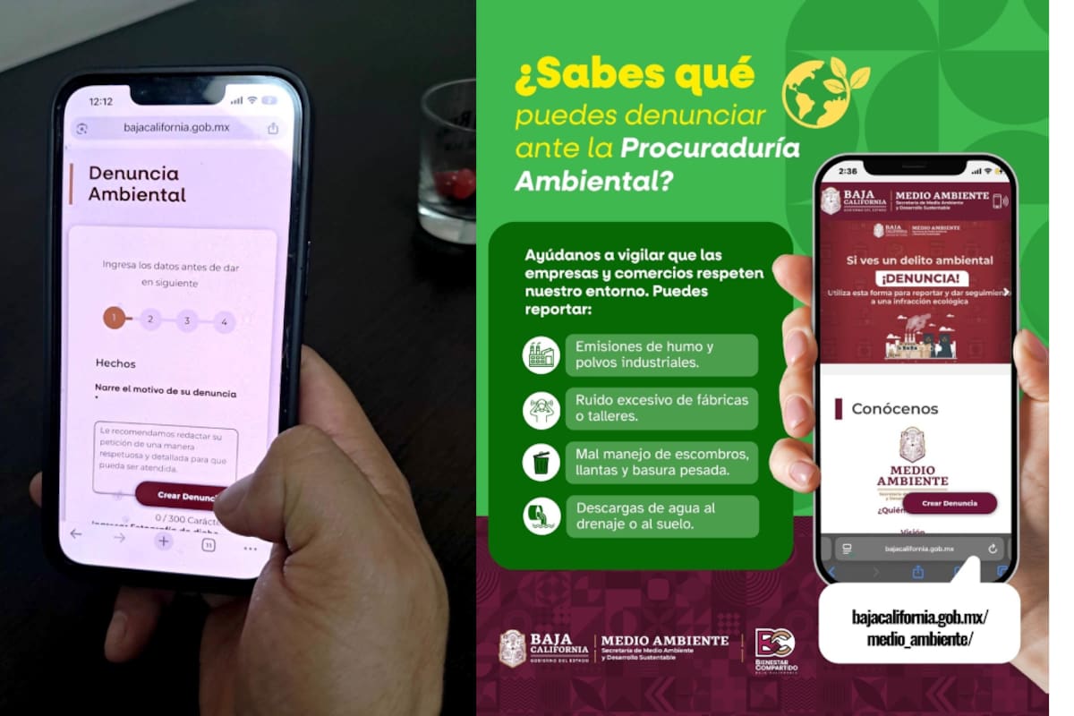 ¿Cómo denunciar contaminación ambiental en Baja California?