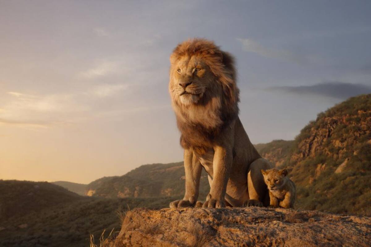 Fanáticos siguen sin superar la muerte de Mufasa