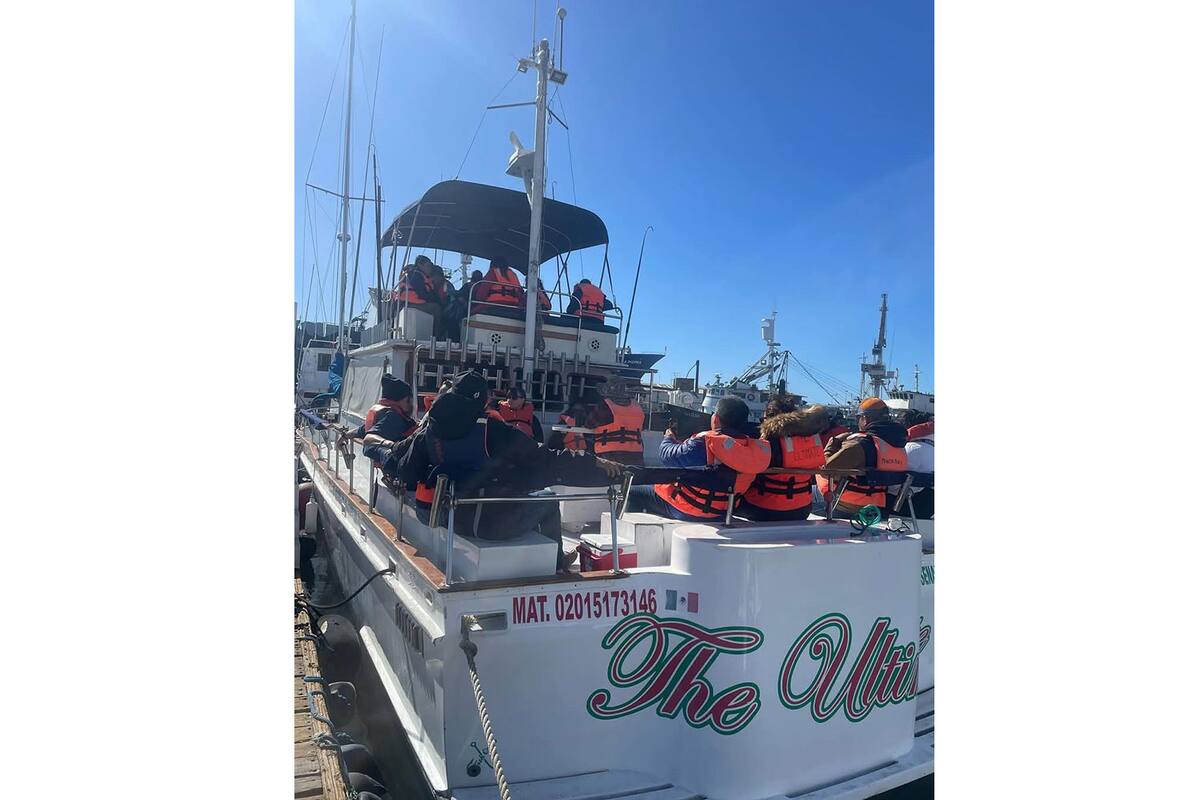 Hacen últimos paseos para ver ballenas en Ensenada
