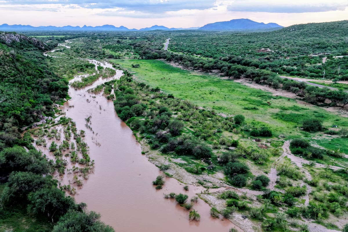 Monzón mexicano intensificará las lluvias en Sonora: hasta 150 mm el domingo y rachas de 70 km/h
