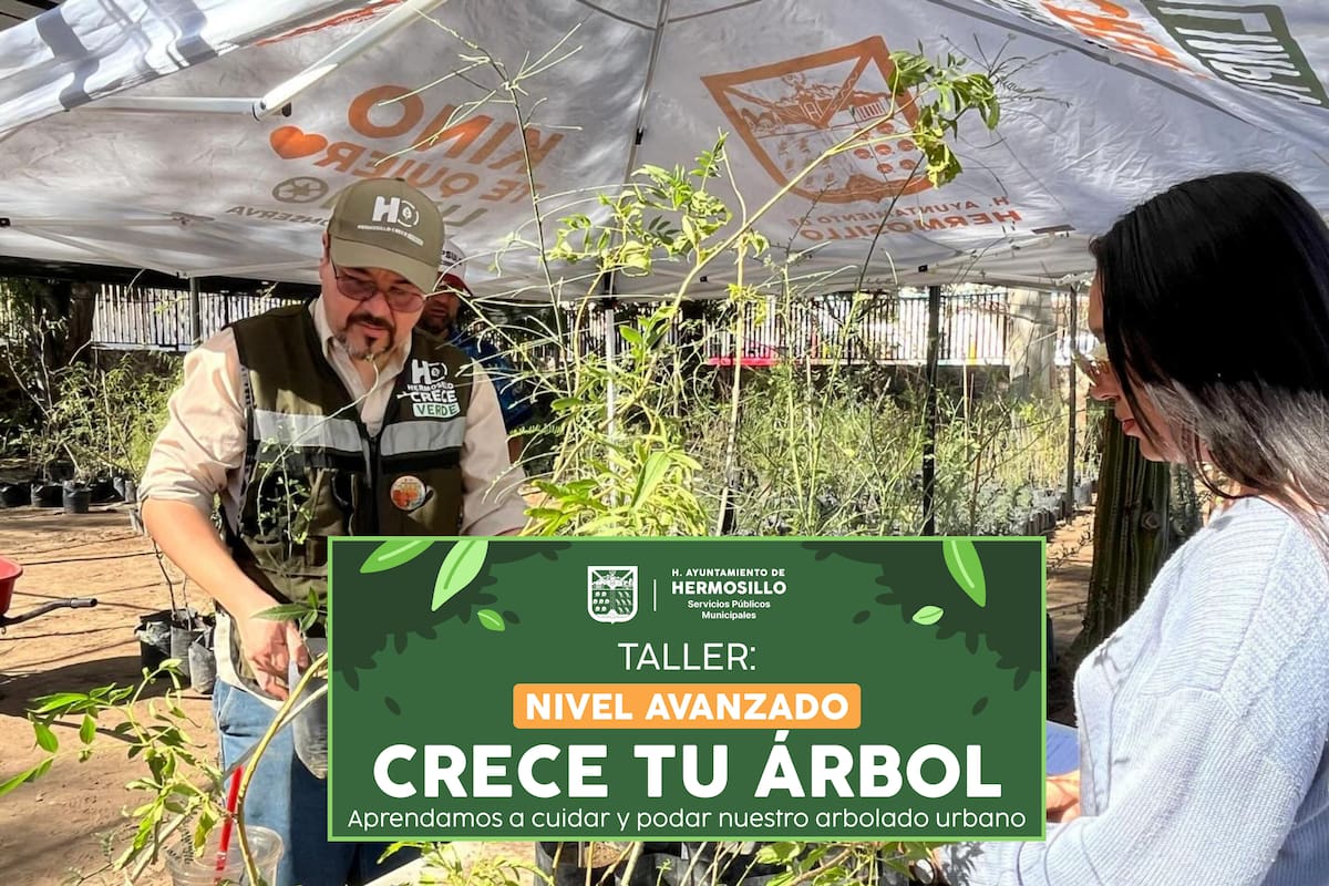 Taller “Crece tu Árbol”: Abrirán curso avanzado de poda y cuidado de árboles en Hermosillo