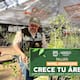 Taller “Crece tu Árbol”: Abrirán curso avanzado de poda y cuidado de árboles en Hermosillo