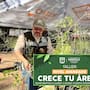 Taller “Crece tu Árbol”: Abrirán curso avanzado de poda y cuidado de árboles en Hermosillo