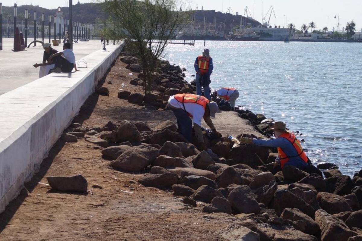 Realizan limpieza en Malecón Turístico