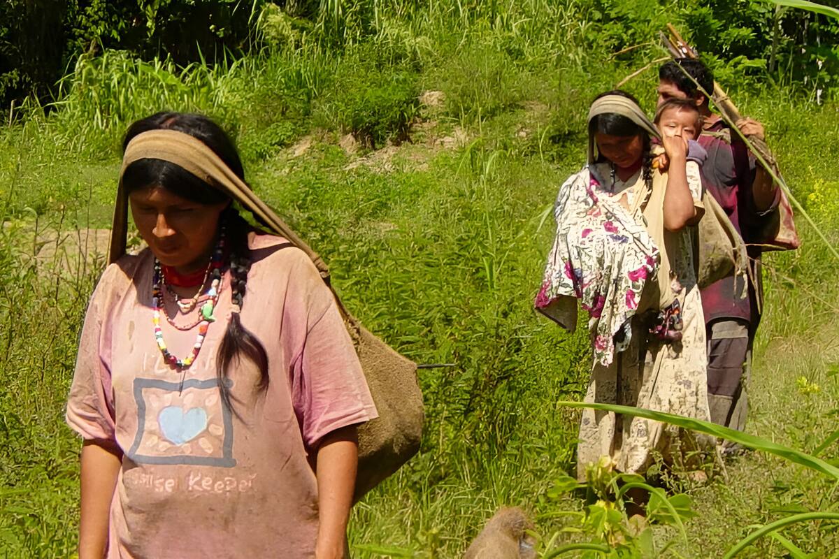 El secreto de la juventud eterna de los Tsimané: Salud y sabiduría en la selva boliviana