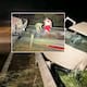 Enfrentamiento en carretera de Tamaulipas entre civiles y militares deja 6 muertos; FGR y Defensa abren investigación