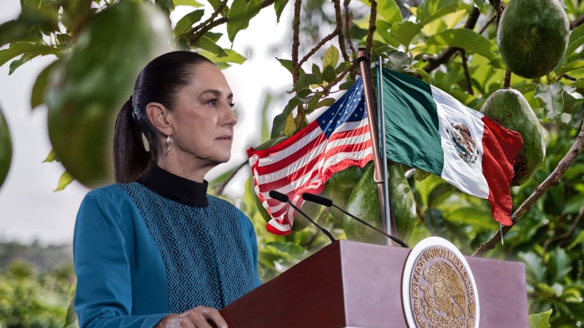 Claudia Sheinbaum confirma amenazas contra inspectores de EEUU en Michoacán tras suspensión que frenó nuevos embarques de aguacate; 45 empacadoras ya reanudaron operaciones