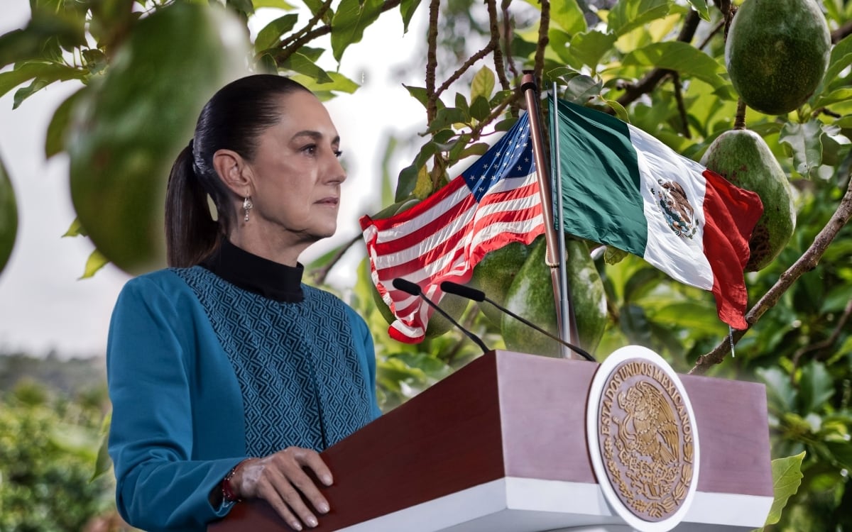 Claudia Sheinbaum confirma amenazas contra inspectores de EEUU en Michoacán tras suspensión que frenó nuevos embarques de aguacate; 45 empacadoras ya reanudaron operaciones