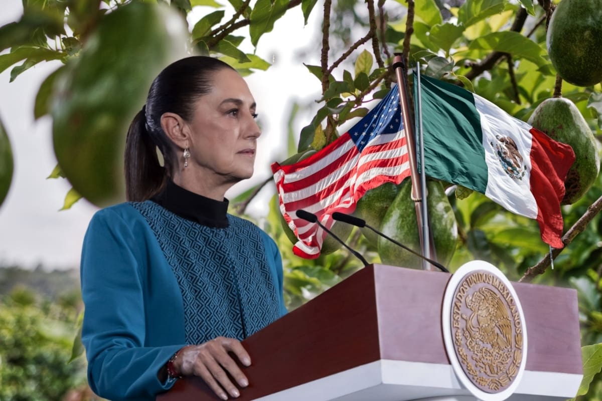 Claudia Sheinbaum confirma amenazas contra inspectores de EEUU en Michoacán tras suspensión que frenó nuevos embarques de aguacate; 45 empacadoras ya reanudaron operaciones