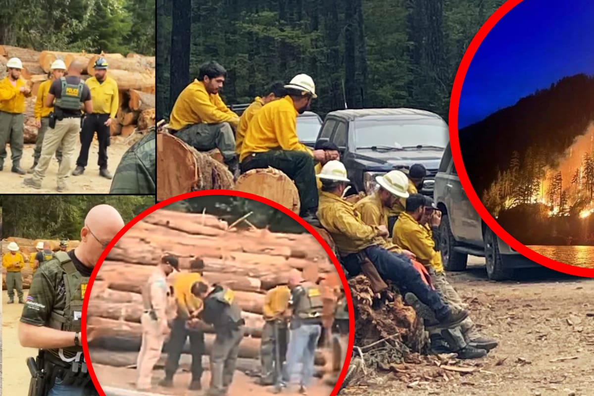 Agentes de ICE arrestan a dos bomberos en proceso de contener un incendio en Washington; pidieron que se ‘verificaran’ identidades de 44 trabajadores