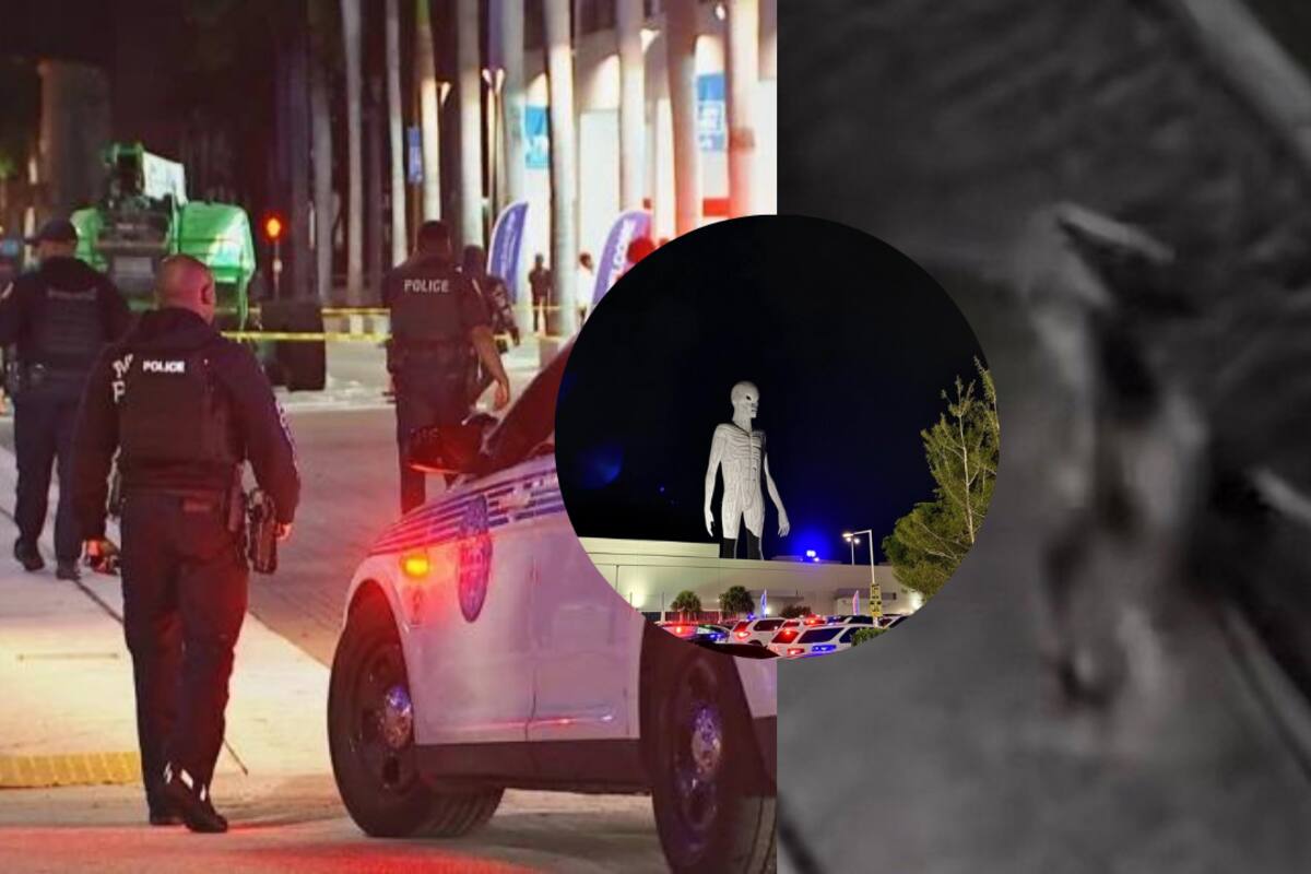 Caos en Miami: Pelea entre adolescentes desata teorías de encuentro extraterrestre en centro comercial