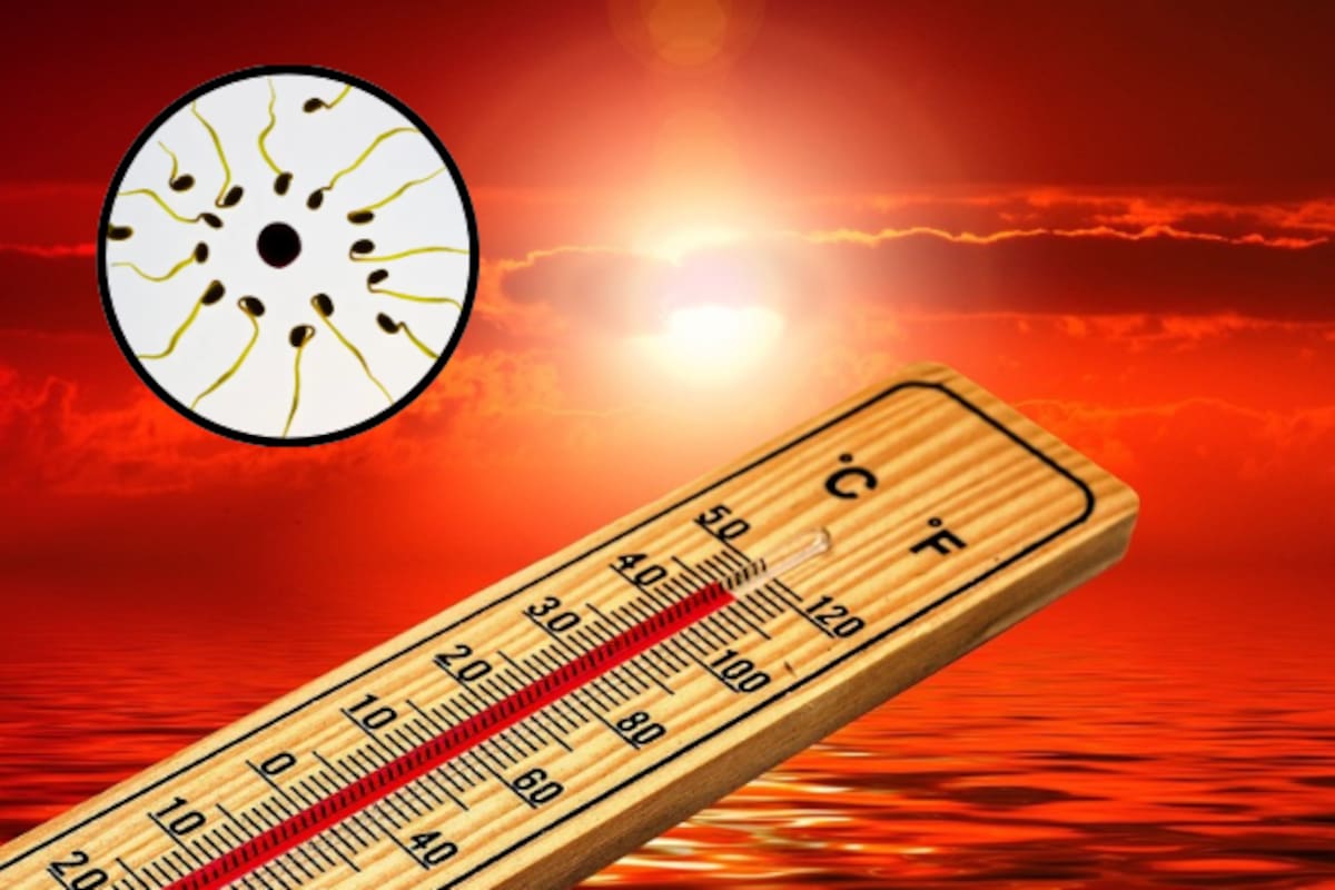 Calor extremo en Mexicali puede afectar la fertilidad masculina, advierten especialistas