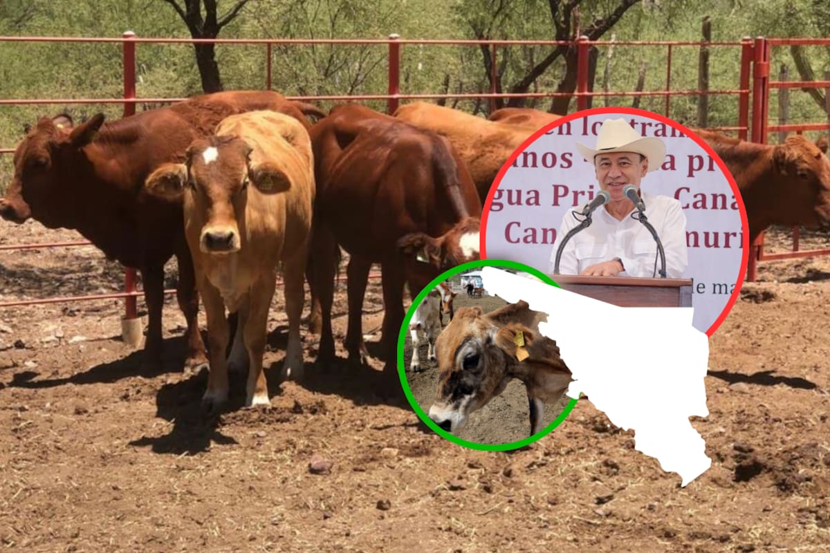 Gobernador Alfonso Durazo anuncia que EEUU reabrirá el cruce ganadero Agua Prieta-Douglas