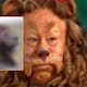 “Parece el león del Mago de Oz”: fotografías de un león con cabello rizado causan sensación en redes sociales