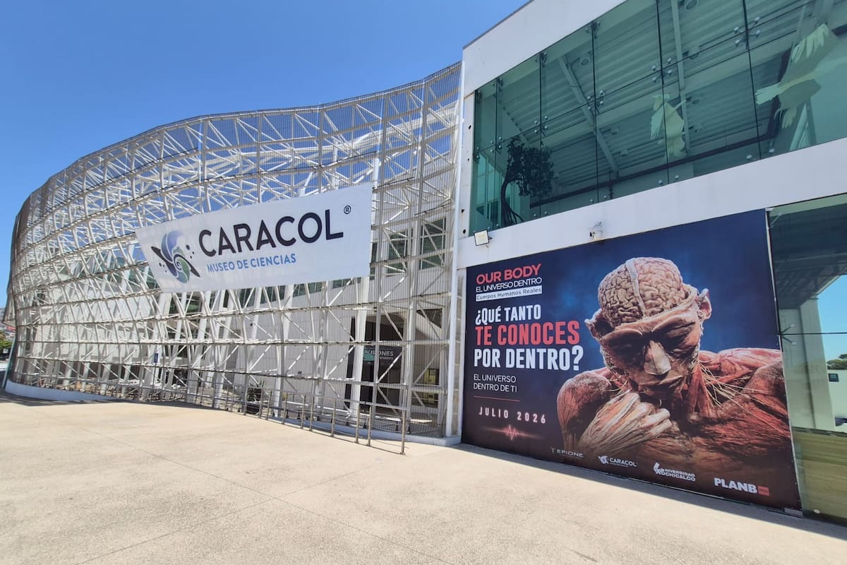 ¿Te atreverías a verla? Llega a Ensenada una exposición con 14 cuerpos humanos reales y más de 150 piezas anatómicas