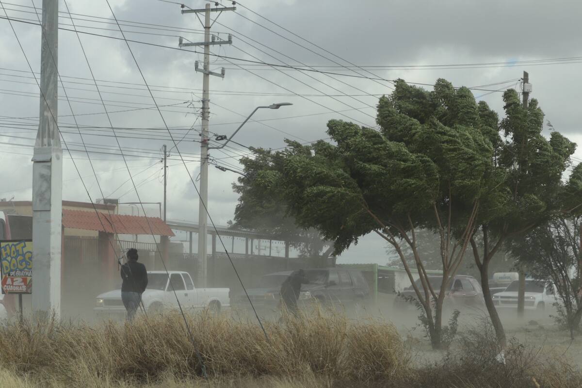 Se esperan fuertes ráfagas de viento en regiones del Norte de Sonora, alerta Protección Civil