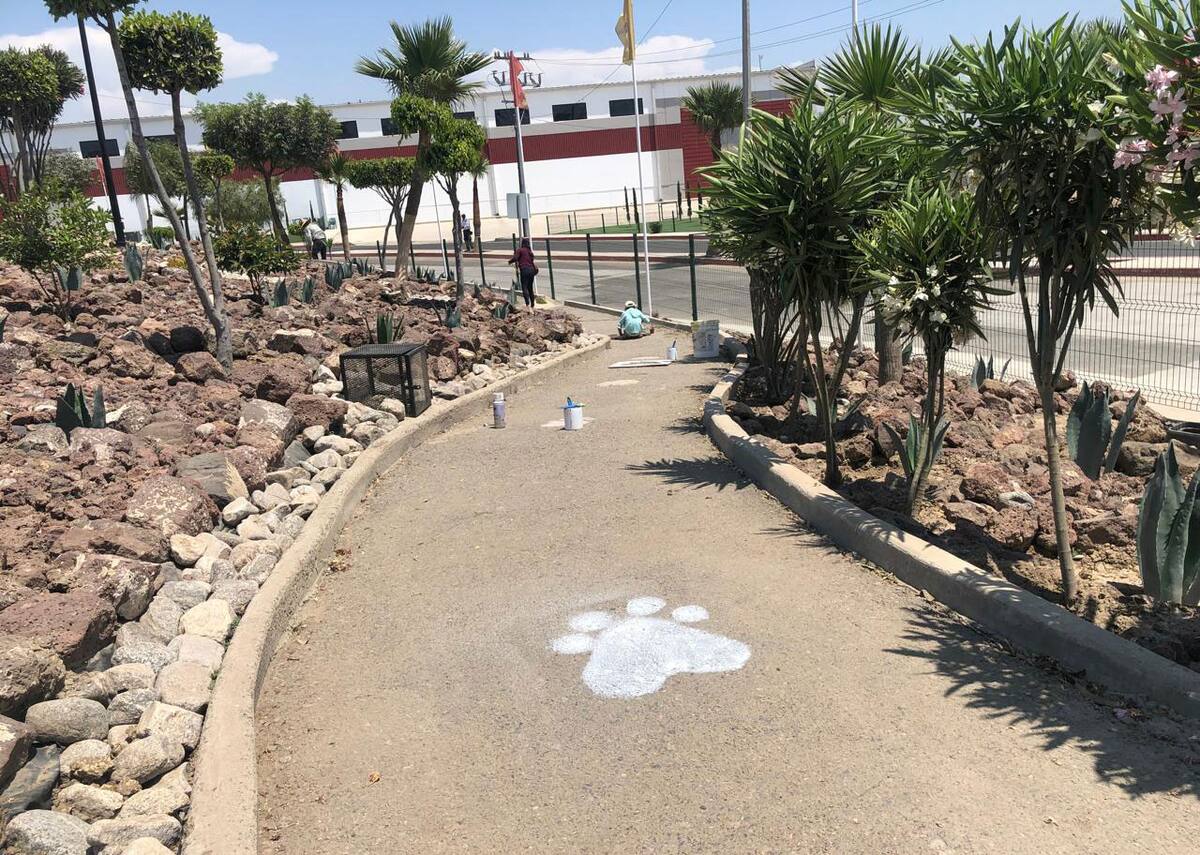 La jornada de la Casa Ccolitas consistió en pintar huellas de perritos en el parque y calles aledañas de la colonia Real de Rosarito II.