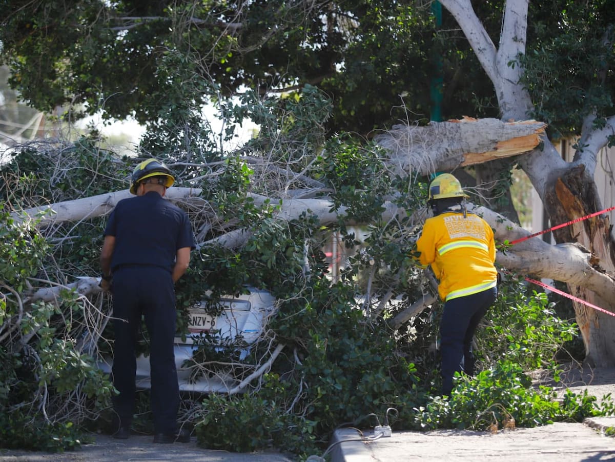 Foto: Juan Jesús Morales