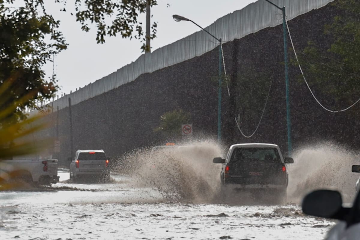 Lluvias derriban 22 árboles, siete postes y más de 200 obstáculos en Mexicali