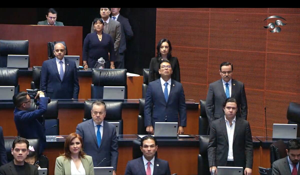 Foto: captura de video tomada de X @senadomexicano.