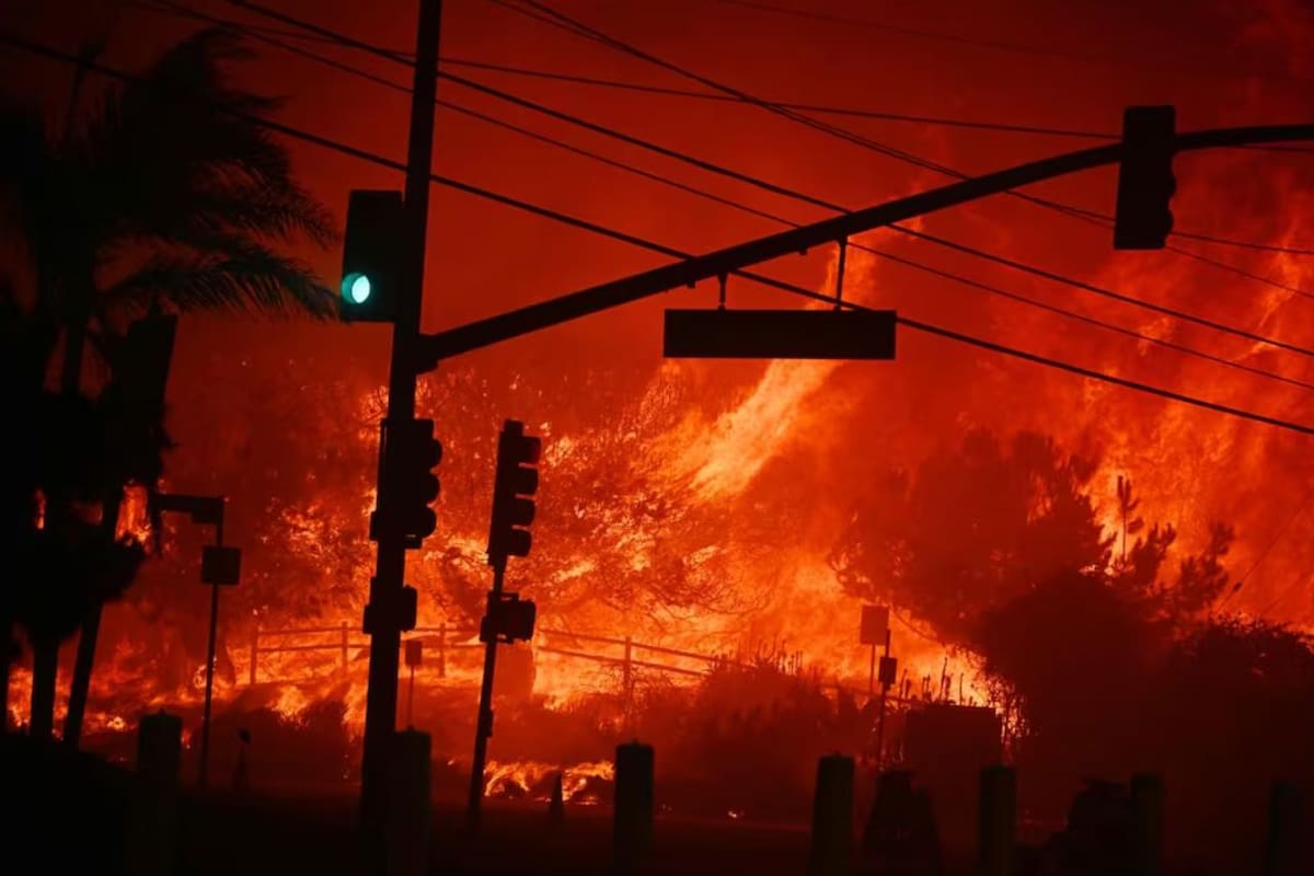 Los incendios forestales afectan la salud del corazón, revelan estudios