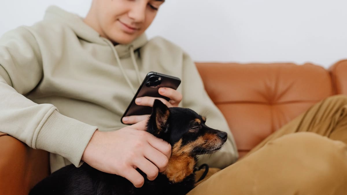 Tener un perro mejora la salud mental en adolescentes / Foto: canva