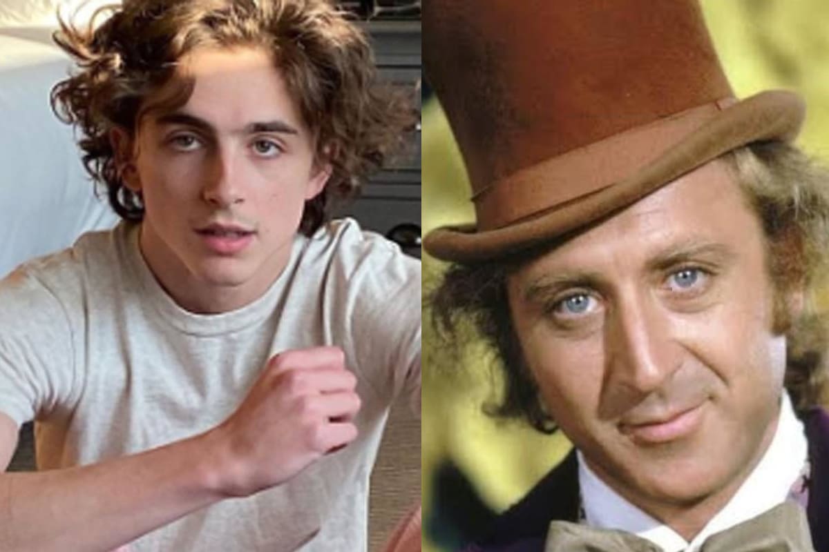 Confirman a Timothée Chalamet como “Willy Wonka”