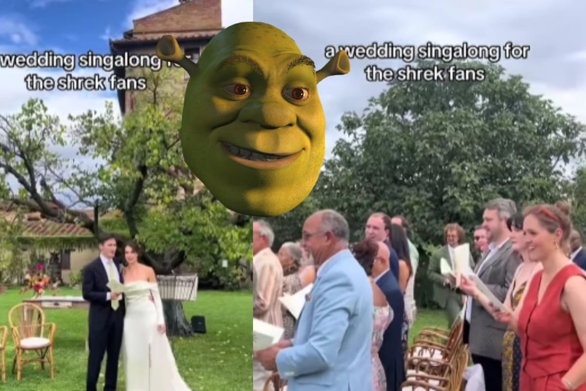 Novios fan de Shrek ponen a todos sus invitados a cantar “Accidentally in Love” y crean una atmósfera de comedia