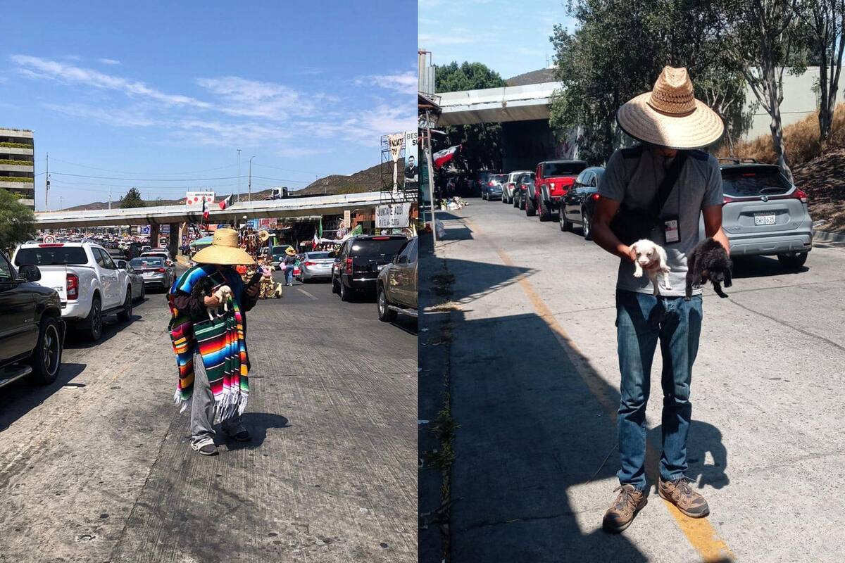 Rescatan a dos mascotas que eran vendidas en garita SY