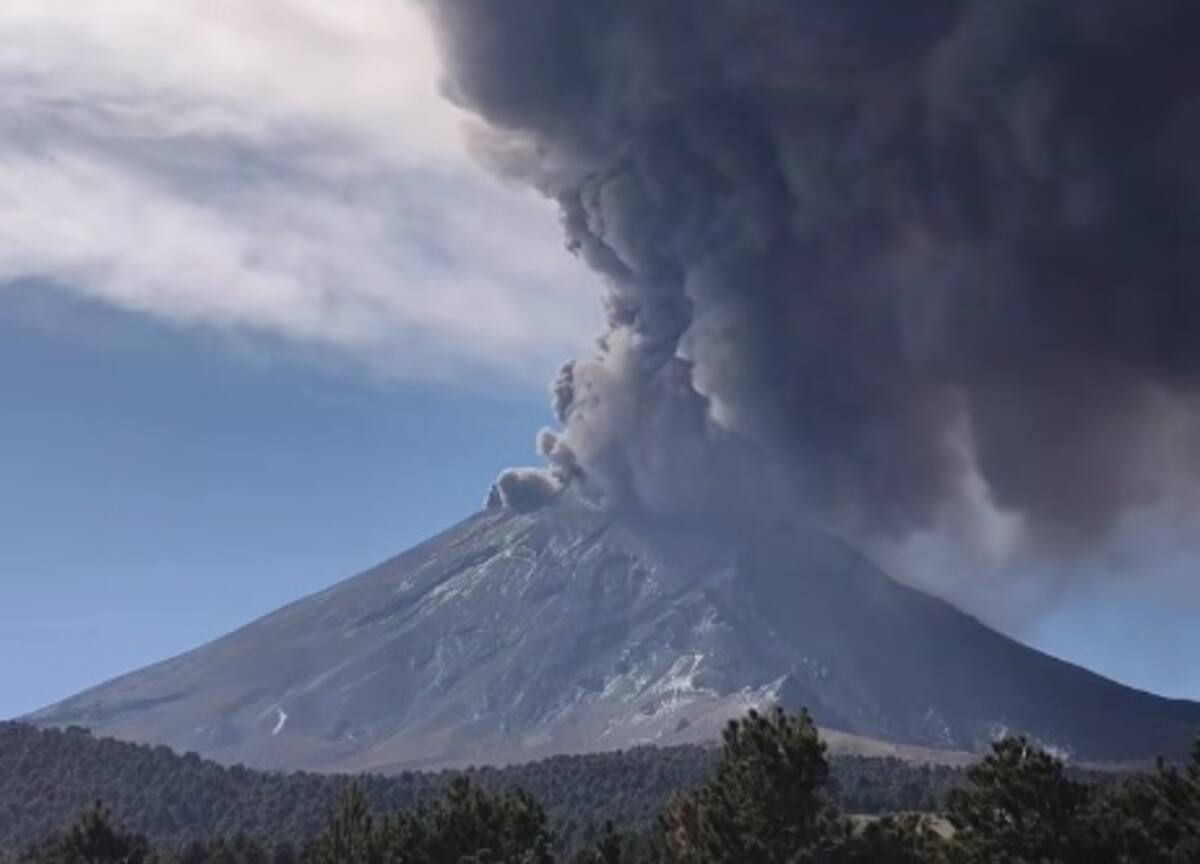 Los habitantes de Puebla están siendo exhortados a colaborar en la limpieza. FOTO: Tiktok