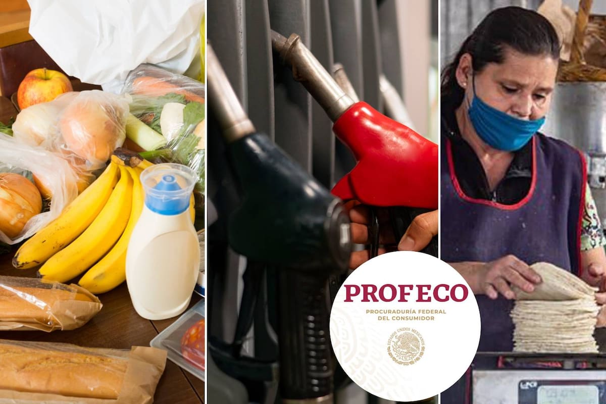 Canasta básica cuesta menos de $910 en México, confirma Profeco; tortilla se mantiene en $24.27 y gasolina no rebasa $24 por litro, afirma Profeco