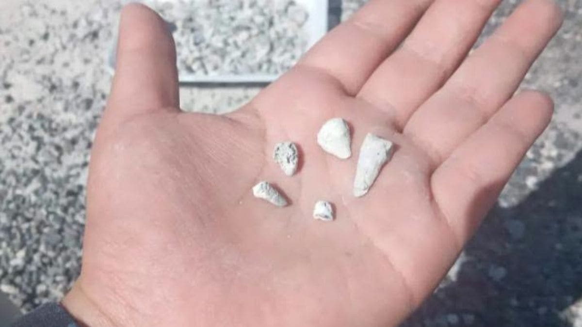 Madres del colectivo Buscando Cuerpos en Todo México realizan labores de cribado de tierra en un predio de Michoacán para la localización de restos óseos e infantiles.