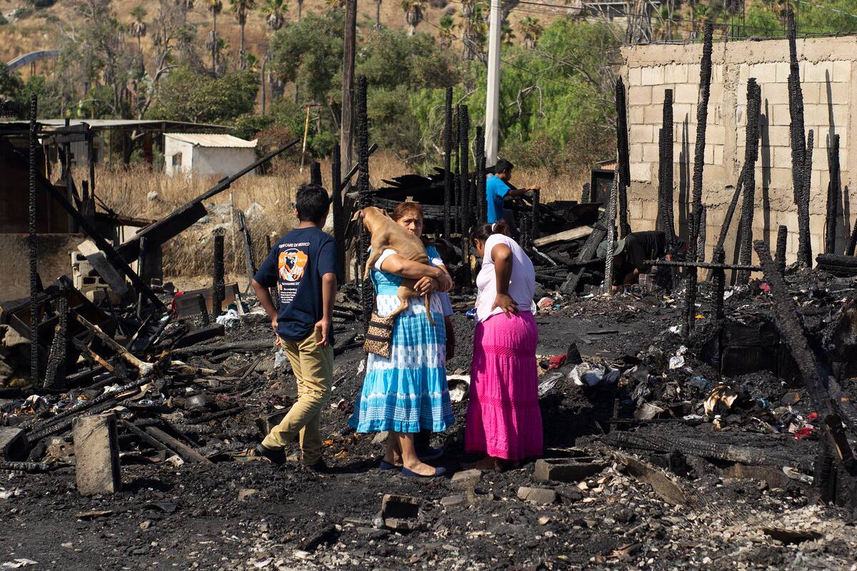 Incendio pudo haber sido provocado, afectados requieren ayuda
