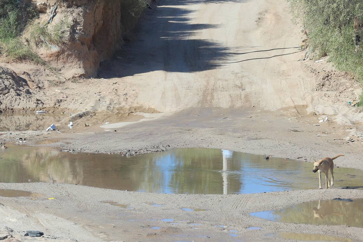 Requieren caminos y accesos en buen estado para ampliar rutas de camiones
