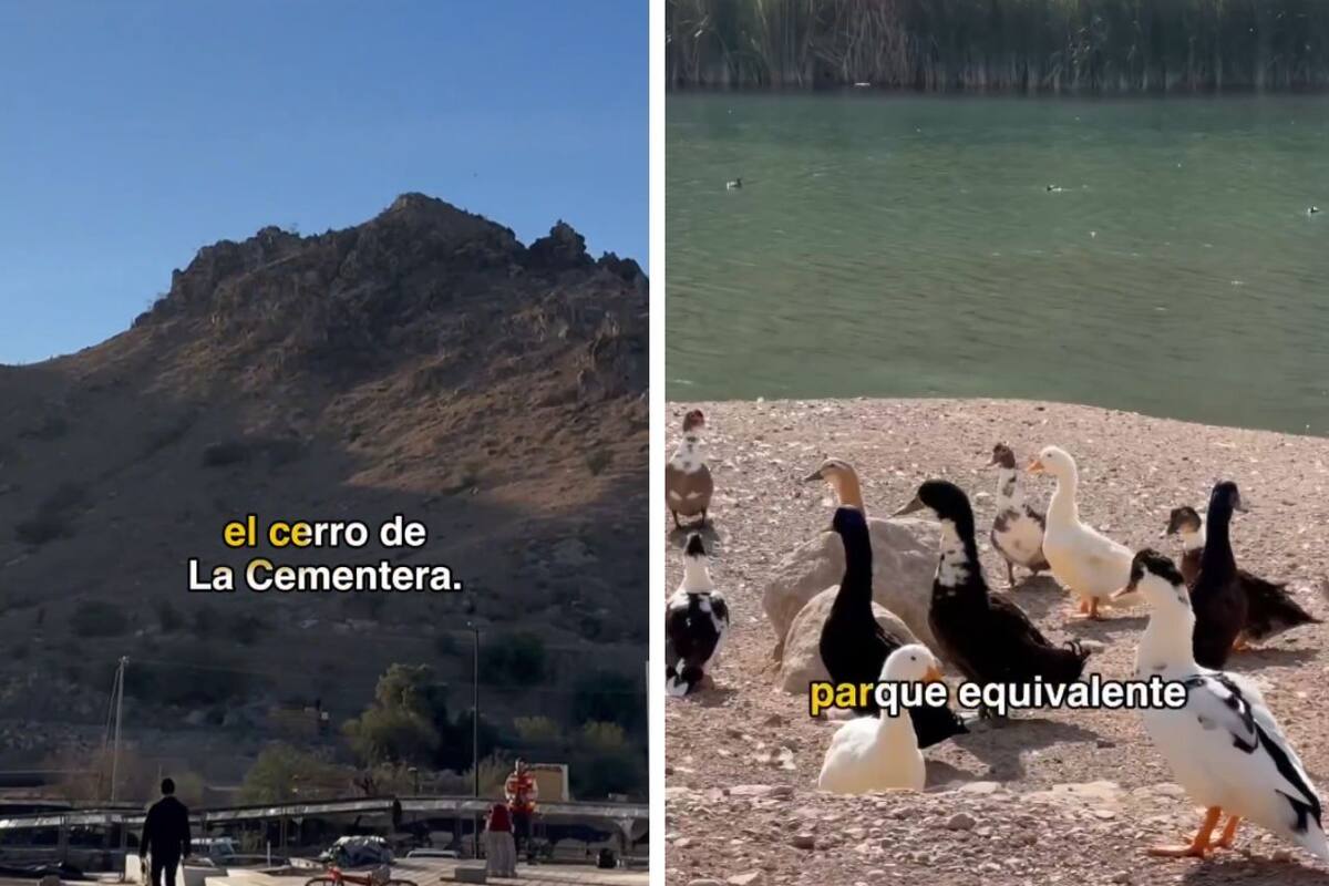 El Parque La Sauceda será como el bosque de Chapultepec de la CDMX, compartió el gobernador de Sonora, Alfonso Durazo.