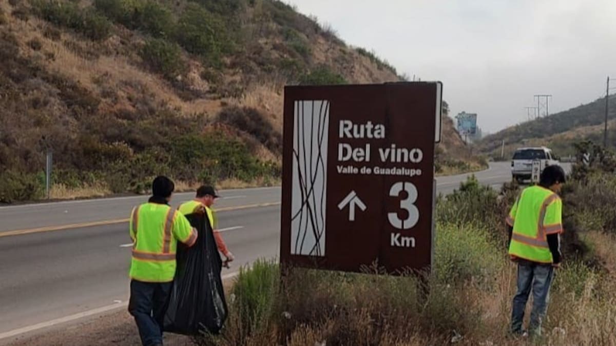 Vinícolas y jóvenes unen esfuerzos para mantener limpio el Valle de Guadalupe